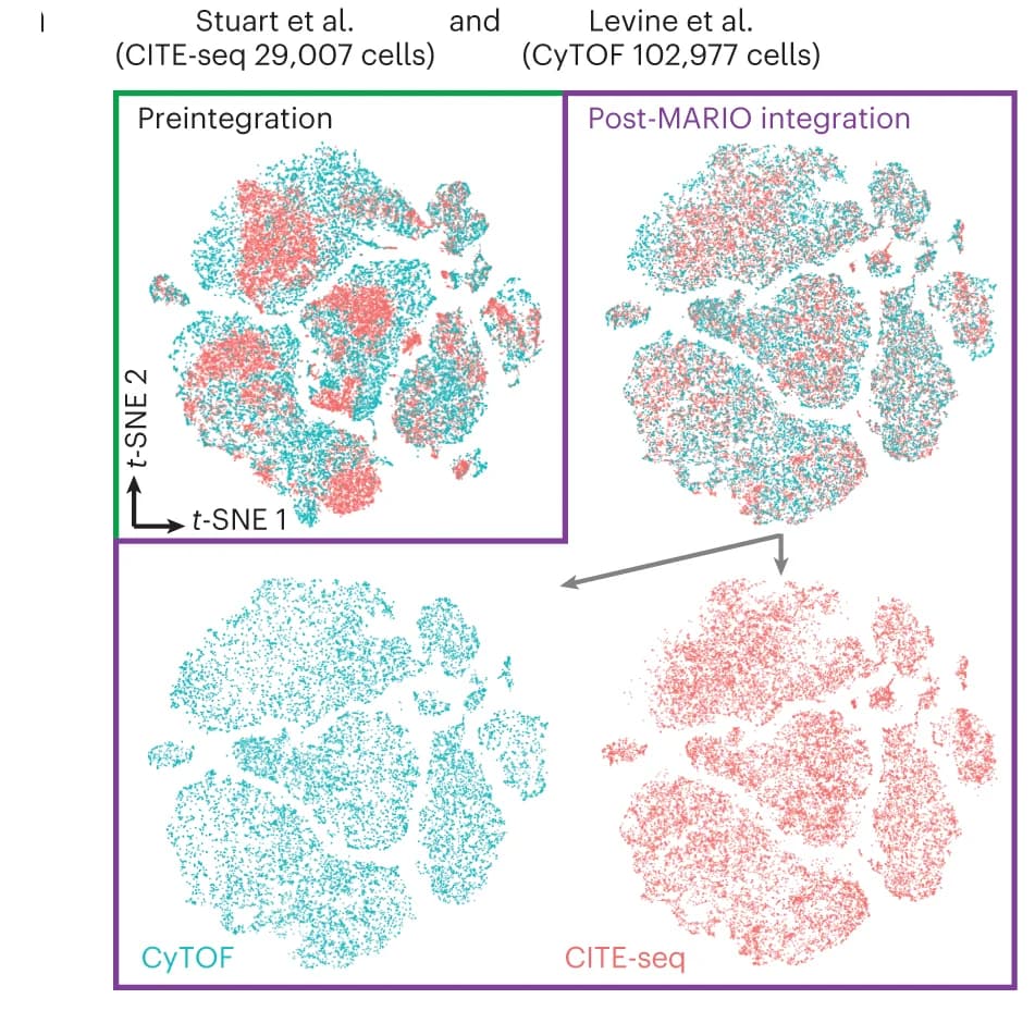 Open access visualization of Scatter Plot, UMAP, PCA, t-SNE plots, Individual Cells
