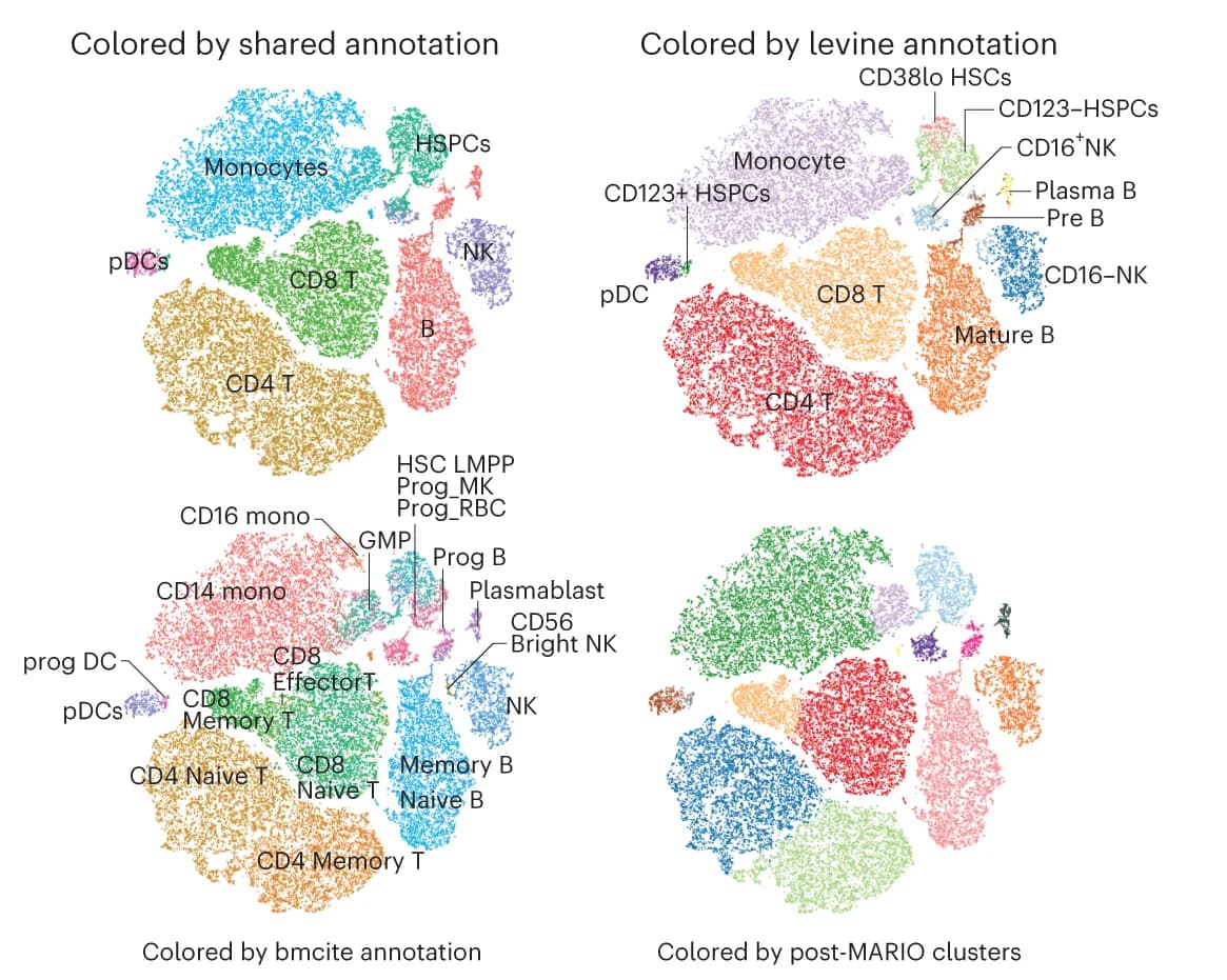 Open access visualization of Scatter Plot, UMAP, PCA, t-SNE plots, MARIO Integrated Cells