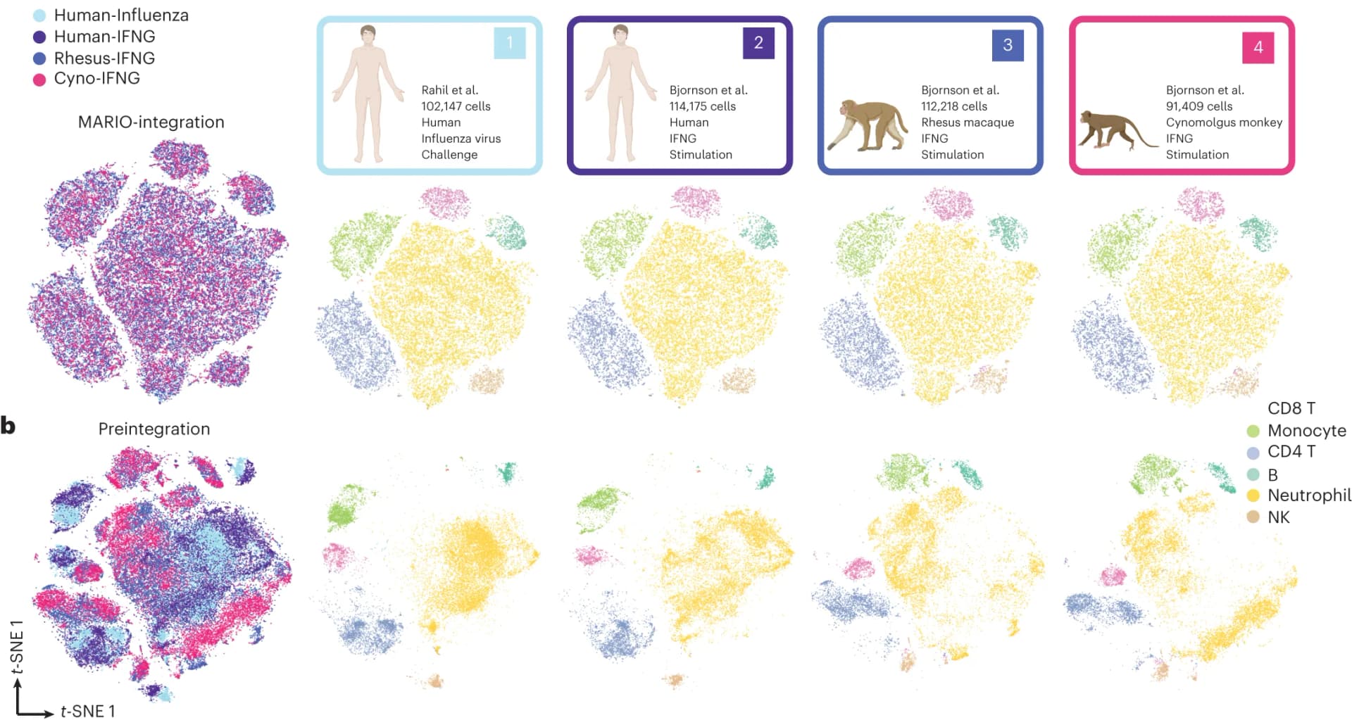Open access visualization of UMAP, Scatter Plot, t-SNE plots, Post-MARIO integration, Cell origin