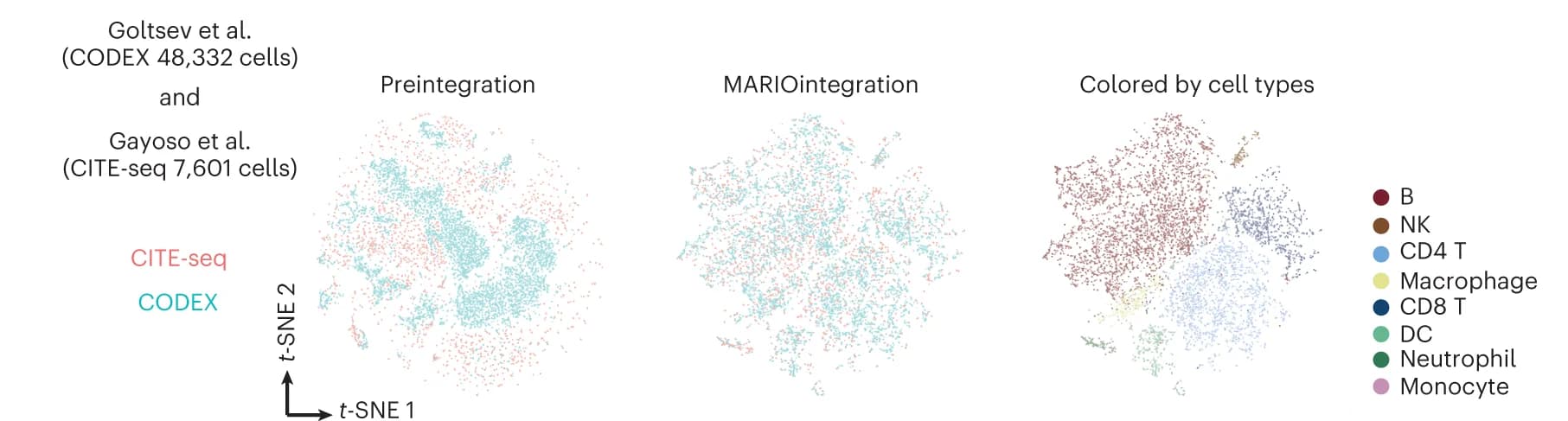 Open access visualization of Scatter Plot, UMAP, PCA, t-SNE plots, Murine Spleen