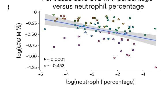 Open access visualization of Scatter Plot, Regression Plot, C1Q Macrophages, Neutrophil Percentage, Dot Plot