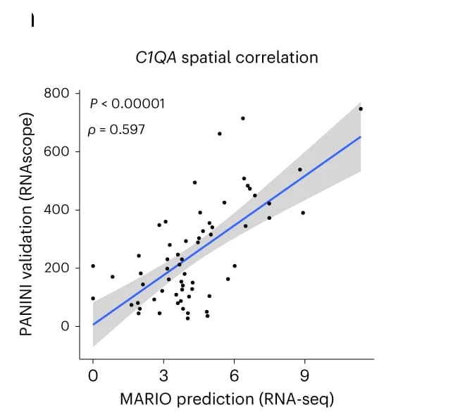 Open access visualization of Scatter Plot, Regression Plot, Dot Plot, C1QA, Spatial Correlations
