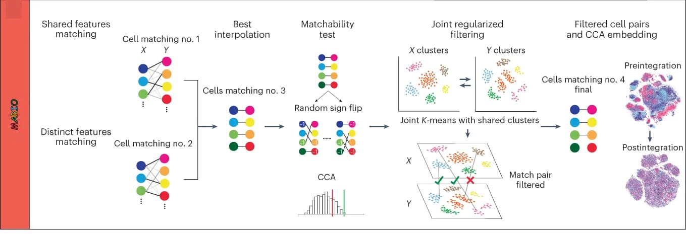 Open access visualization of Workflow, Scatter Plot, Histogram, Illustration, Network