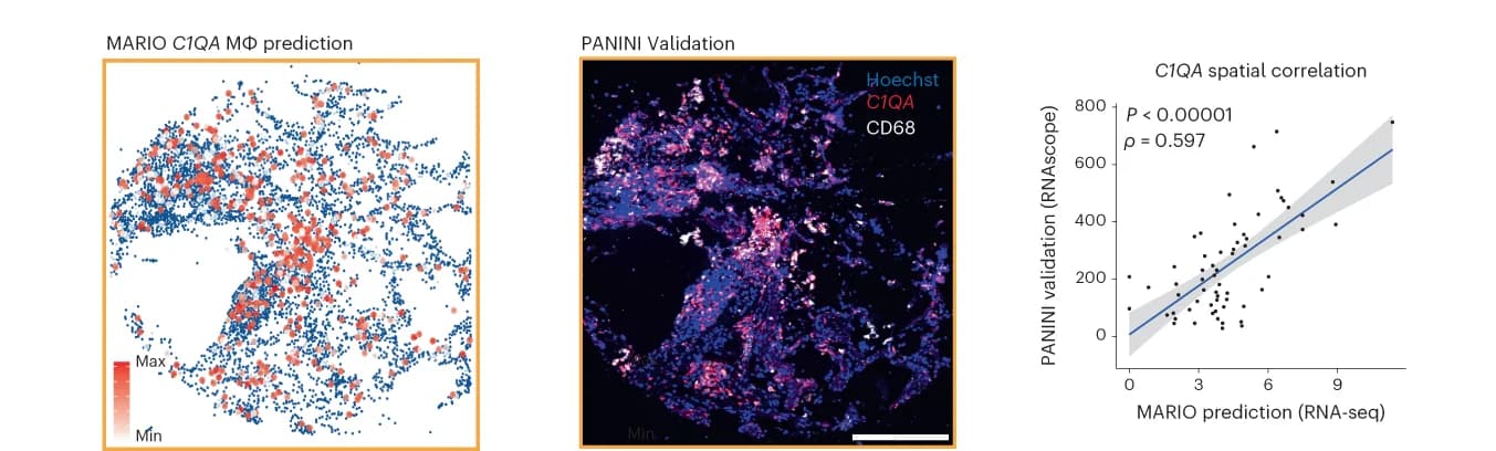 Open access visualization of Scatter Plot, Regression Plot, Microscopy, MARIO, CITE-seq