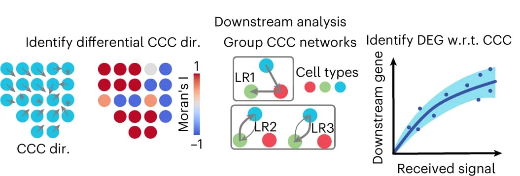 Open access visualization of Line Plot, Scatter Plot, Network, Cell-Cell Communication Network, Differentially Expressed Gene