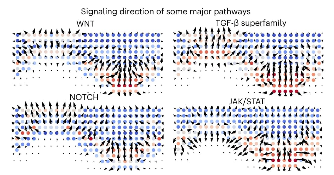 Open access visualization of Scatter Plot, Signaling Pathways