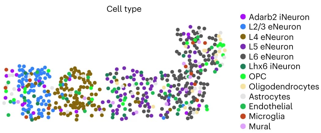 Open access visualization of Scatter Plot, UMAP, PCA, Cell Type, Gene Expression