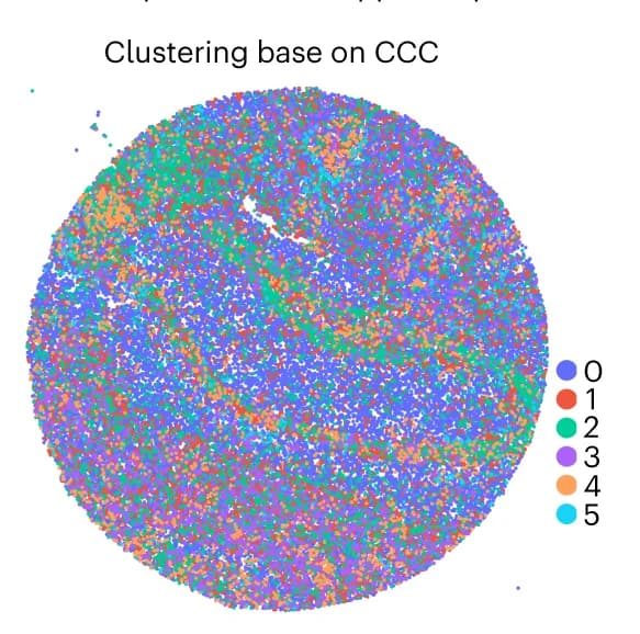 Open access visualization of Scatter Plot, UMAP, PCA, Clustering, CCC