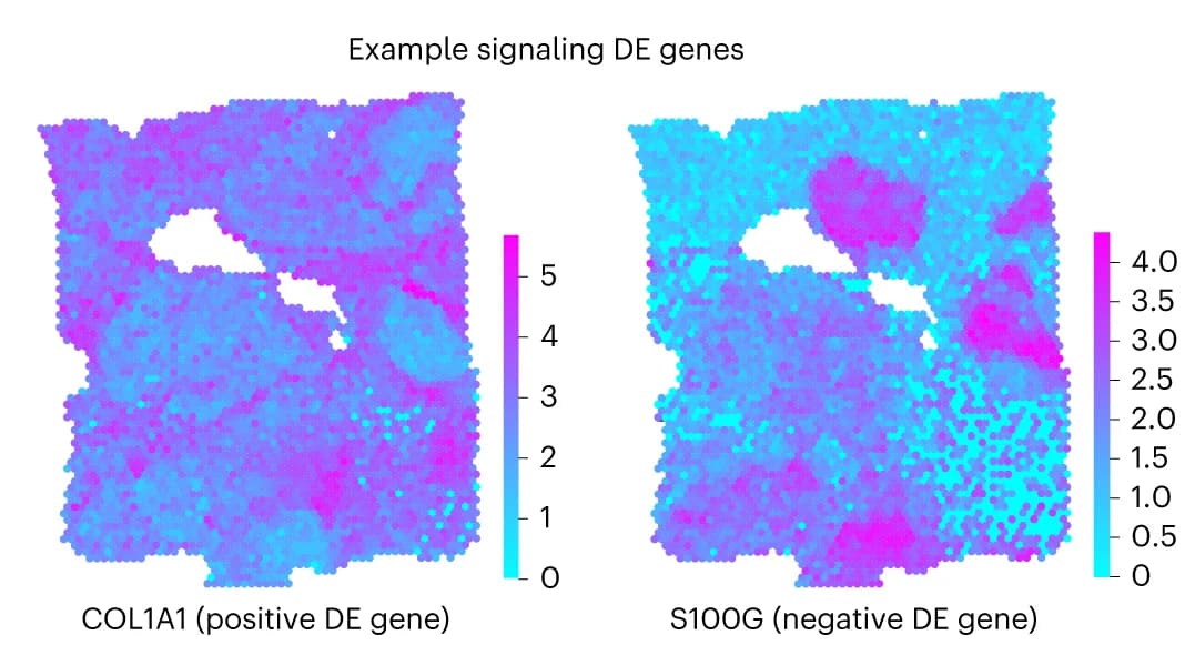 Open access visualization of Heatmap, Differentially expressed genes, Signaling