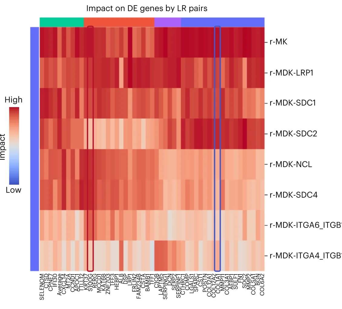 Open access visualization of Heatmap, Differentially expressed genes, Ligand-receptor pairs