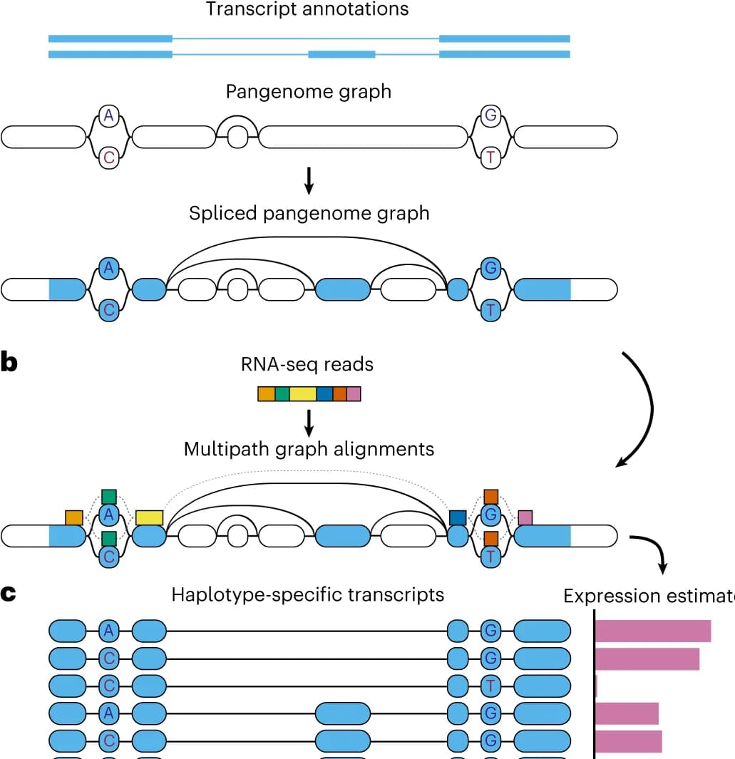 Open access visualization of Workflow, Illustration, Bar Plot, VG RNA, Splice Junctions