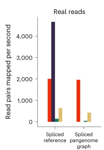 Open access visualization of Clustered, Bar Plot, Read Pairs, Mapping Speed, Real Data