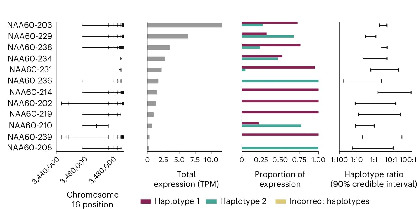 Open access visualization of Bar Plot, Error Bars, RNA-seq data, Lymphoblastoid cell line, ENCODE Project