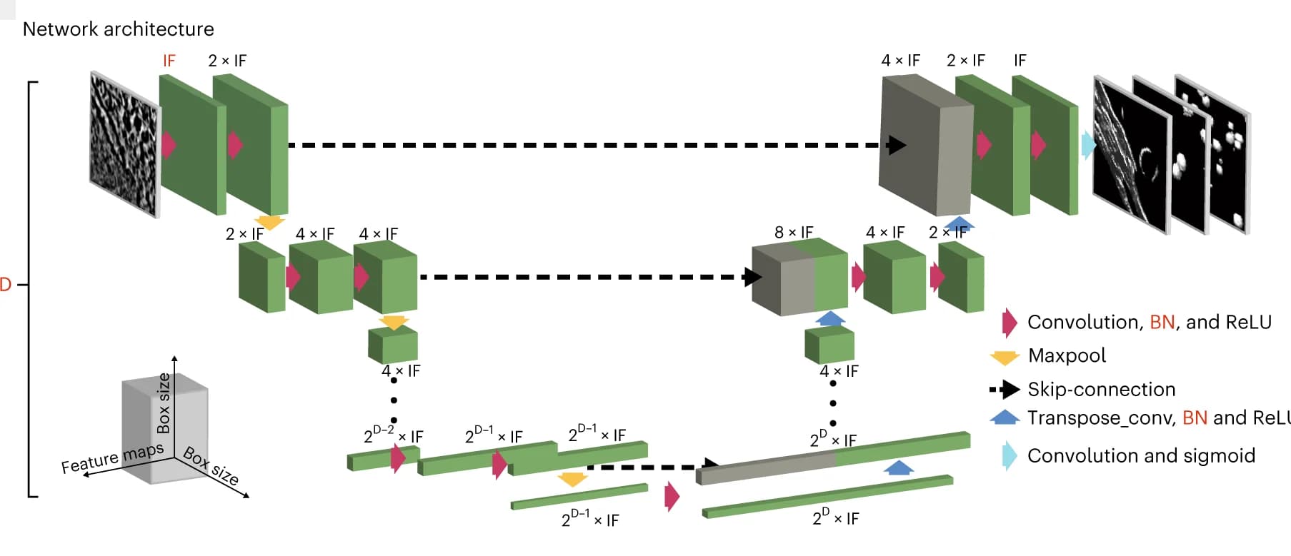 Open access visualization of Workflow, Illustration, CNN U-Net Architecture, 2D Network, 3D Network