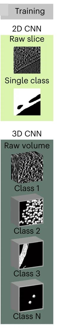Open access visualization of Workflow, Illustration, DeePiCt Pipeline, Cryo-ET, Structural Features