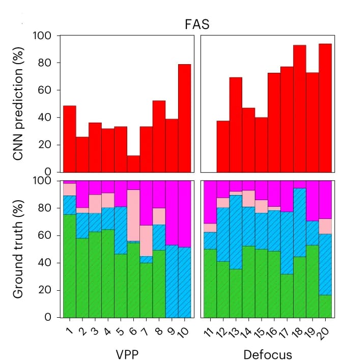 Open access visualization of Bar Plot, Stacked Bar Plot, FAS, DeePiCt, Tomograms