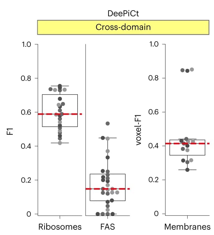 Open access visualization of Box Plot, Scatter Plot, Cross-Domain Generalization, 2D CNN, DeePiCt
