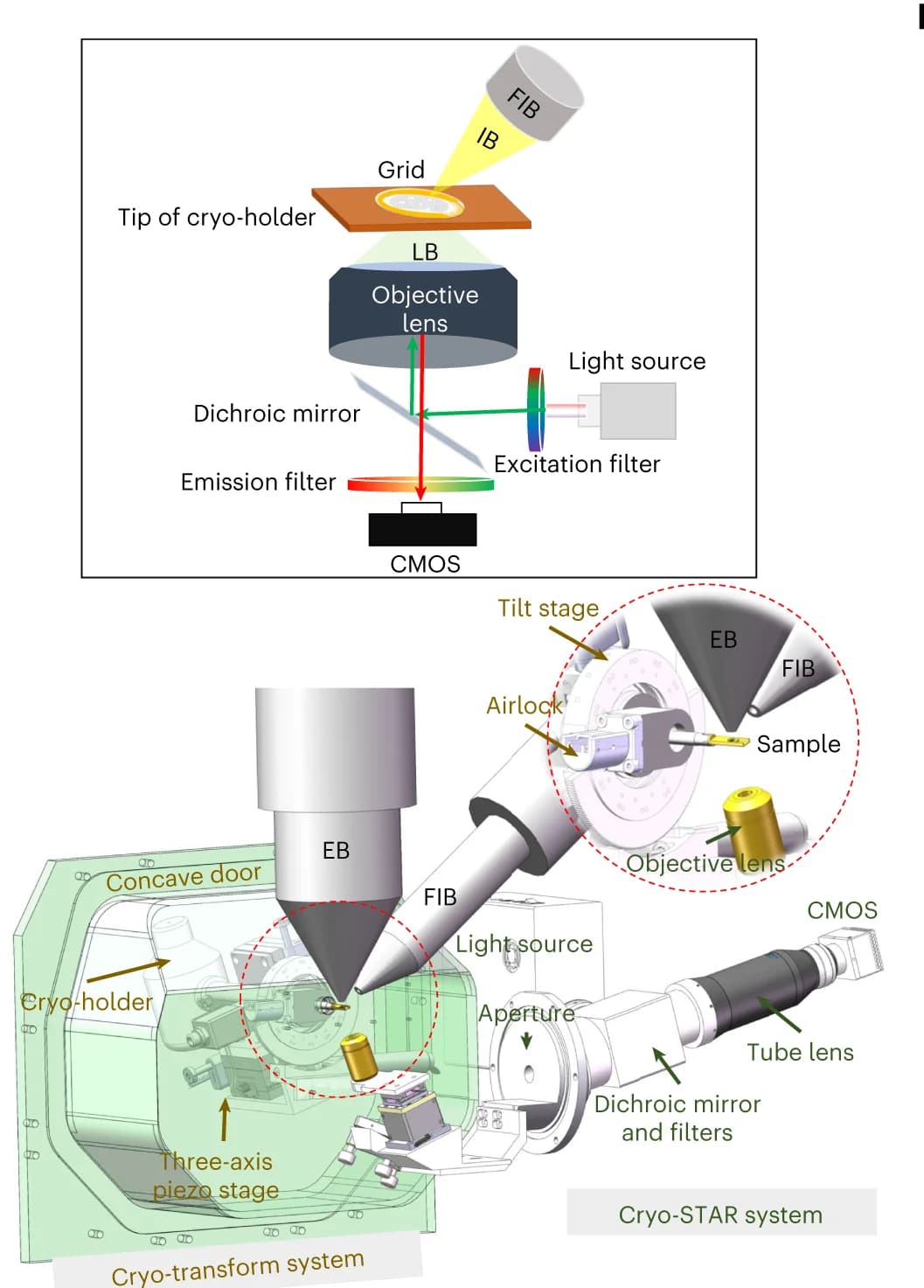 Open access visualization of Illustration, Workflow, Ion Beam, Light Beam, Electron Beam