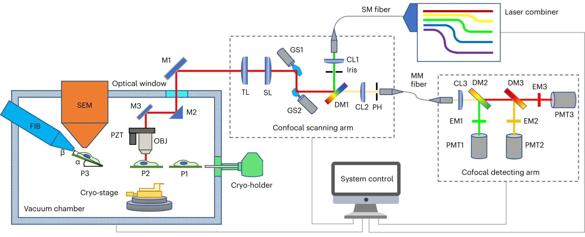 Open access visualization of Workflow, Illustration, CLIEM System, FIB Milling, Sample Loading