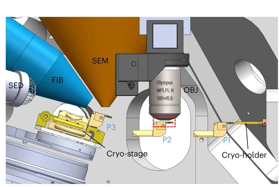 Open access visualization of Illustration, Sample Holder, Secondary Electron Detector
