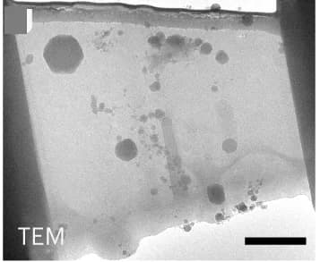 Open access visualization of Microscopy, TEM Image, Prepared Lamella
