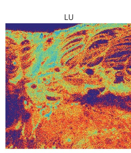Open access visualization of Microscopy, Residual Image, Unassigned Signal, Spatial Distribution