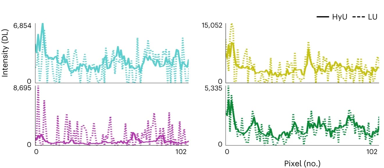 Open access visualization of Line Plot, Intensity Line Plots, Signals, Noise Peaks, Digital Level