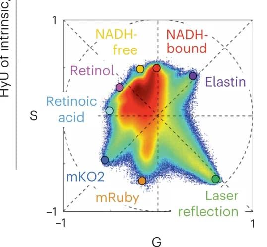 Open access visualization of Scatter Plot, Density Plot, Phasor Plot, Fluorescent Fingerprint