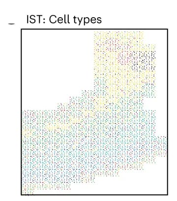 Open access visualization of Scatter Plot, Spatial Position, IST Data, Cell Type