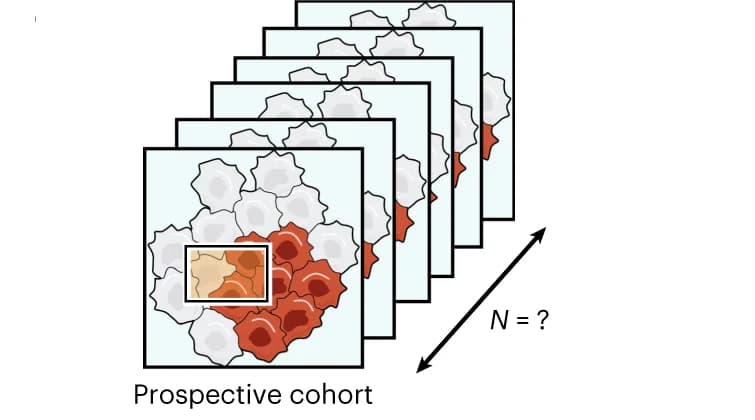 Open access visualization of Illustration, Experimental design, Cohort size, Spatial feature