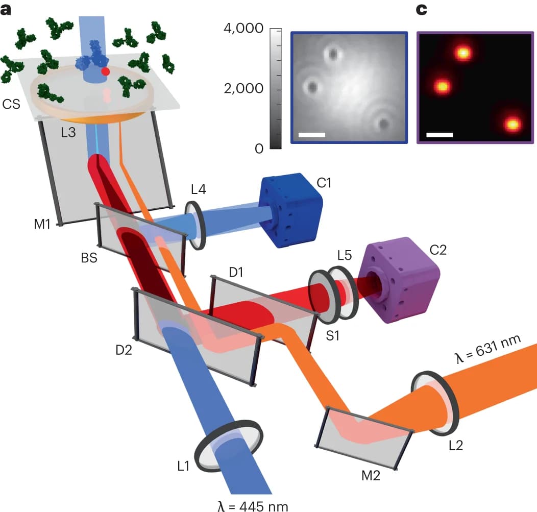 Open access visualization of Illustration, Microscopy, Workflow, iSCAT Image, Fluorescent Beads