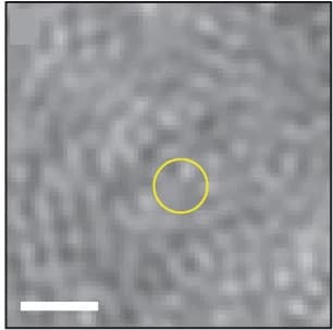 Open access visualization of Microscopy, DRA Analysis, Protein Landings, TIRF Channel, iSCAT Contrast