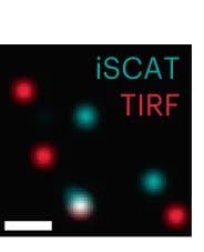 Open access visualization of Microscopy, TIRF, iSCAT, Protein