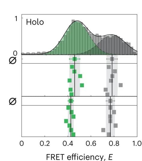 Open access visualization of Histogram, Error Bars, SmFRET, FRET efficiency histograms, U2AF2