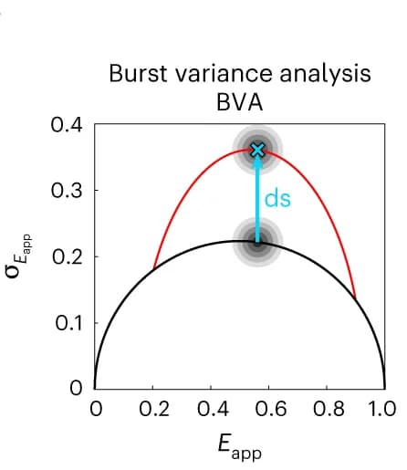 Open access visualization of Line Plot, Density Plot, BVA, E-τ plots, FRET
