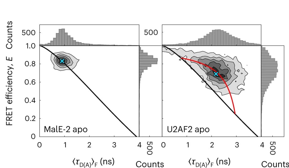 Open access visualization of Scatter Plot, Density Plot, Histogram, FRET Efficiency, Donor Lifetime