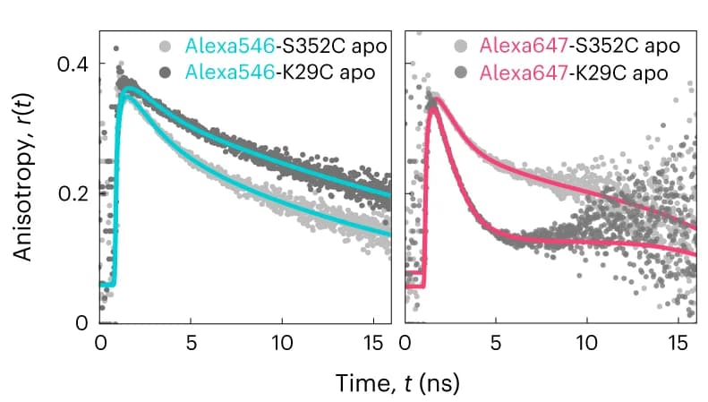 Open access visualization of Line Plot, Scatter Plot, Fluorescence anisotropy, Single-cysteine mutants, Alexa546