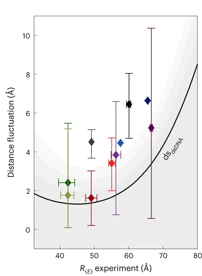 Open access visualization of Scatter Plot, Error Bars, Line Plot, Structural flexibility, MalE
