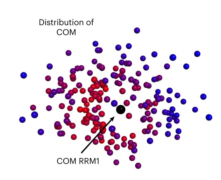 Open access visualization of Scatter Plot, Bubble Plot, Structural States, FRET Measurements, U2AF2