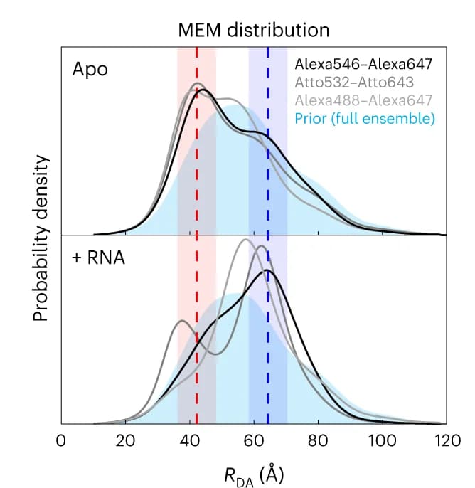 Open access visualization of Density Plot, Line Plot, Distance Distributions, Fluorescence Decay Analysis, MEM Approach