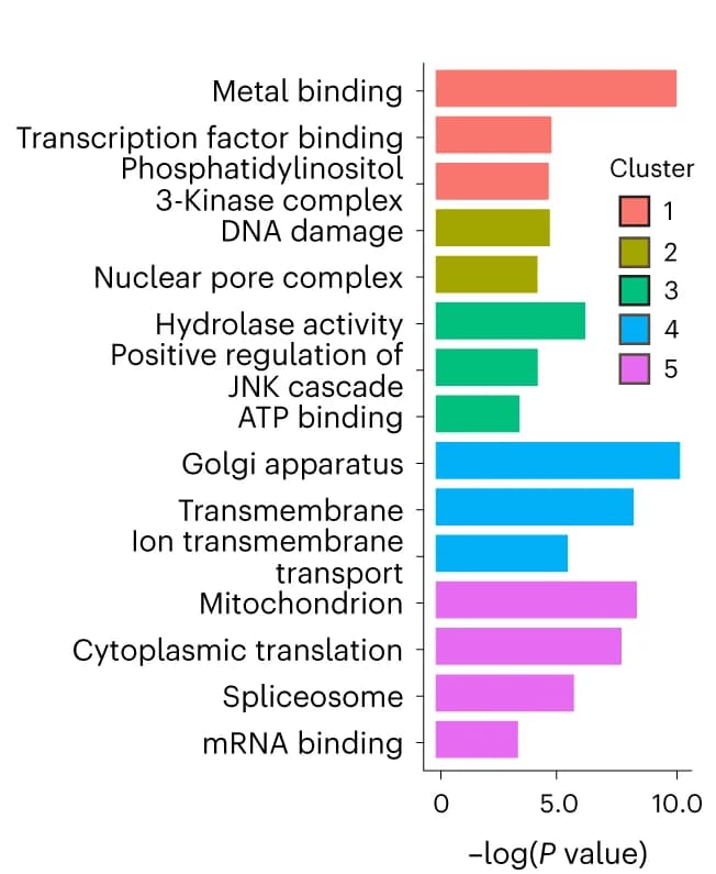 Open access visualization of Bar Plot, Pathway Enrichment Analysis, Genes, DAVID