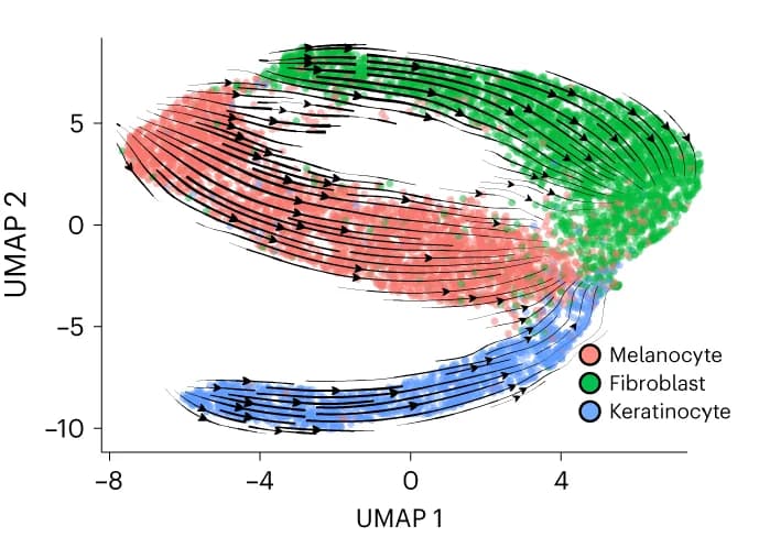 Open access visualization of UMAP, Scatter Plot, Single-Cell RNA Expression, Nucleocytoplasmic Expression, Cell Types