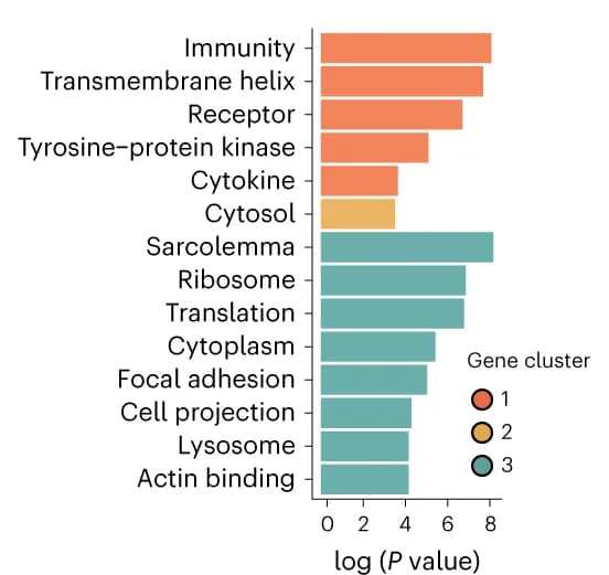 Open access visualization of Bar Plot, Pathway Enrichment Analysis, Genes, DAVID