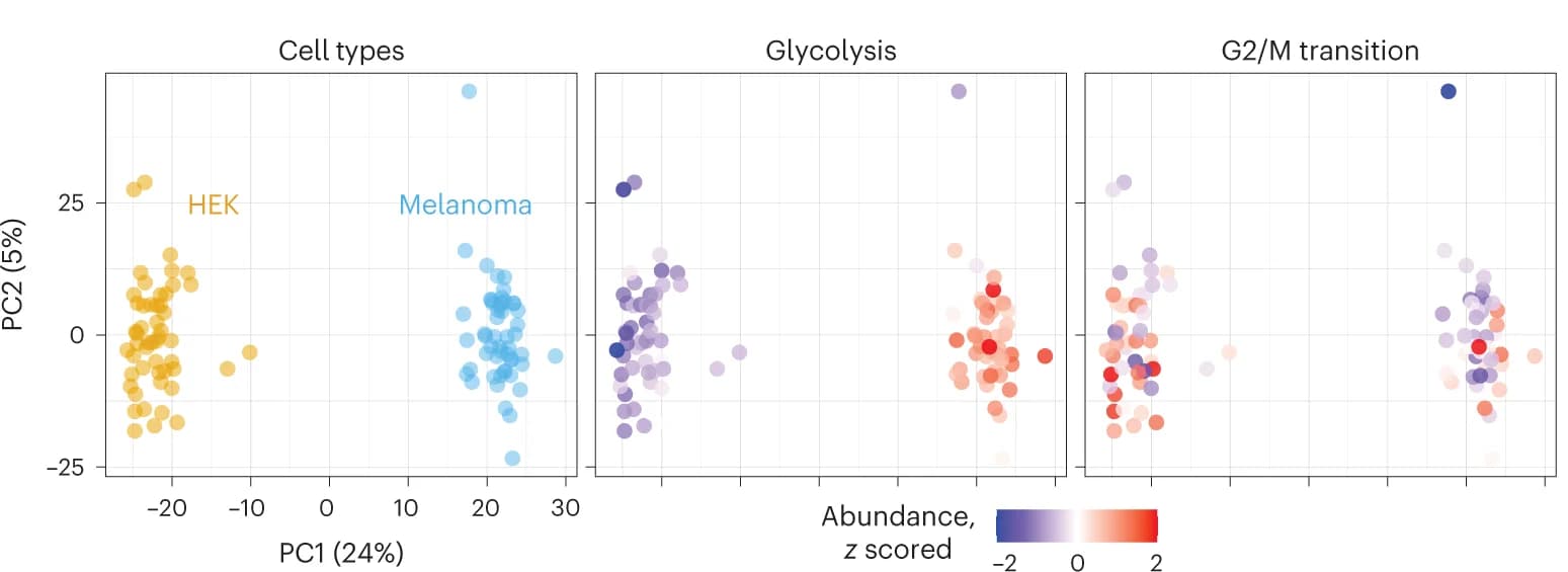Open access visualization of Scatter Plot, PCA, Single Cells, Cell Type, Protein