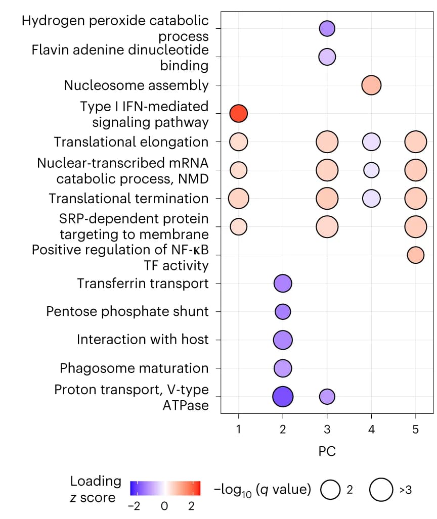 Open access visualization of Bubble Plot, Protein Groups, PSEA, PC Vectors, Protein Weights