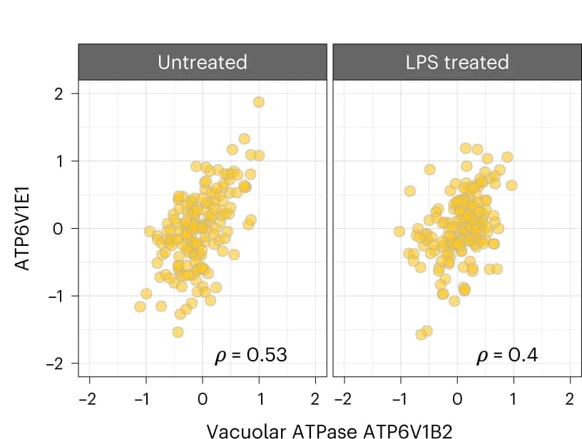 Open access visualization of Scatter Plot, Proteins, Proton Transport, Single Cells, Vacuolar ATPase