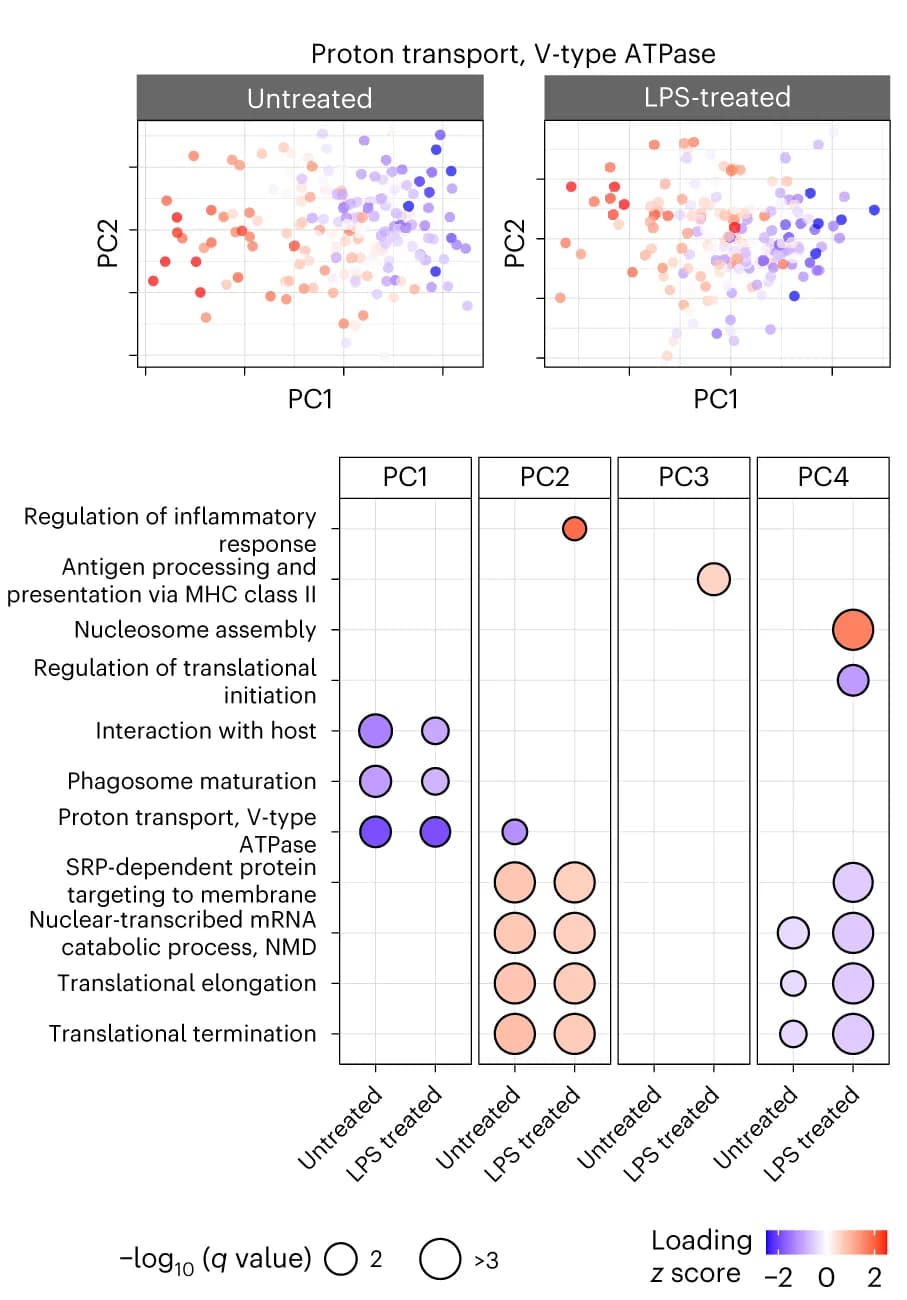 Open access visualization of Scatter Plot, Bubble Plot, PCA, Macrophages, PSEA