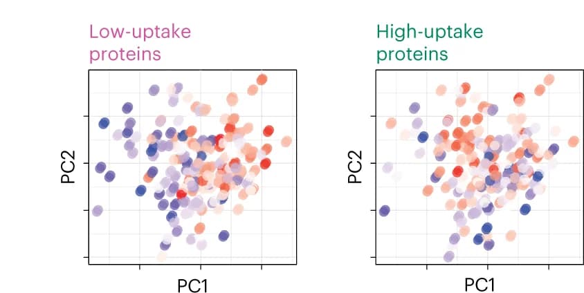 Open access visualization of Scatter Plot, PCA, Macrophages, Principal Components, Low-Uptake Proteins