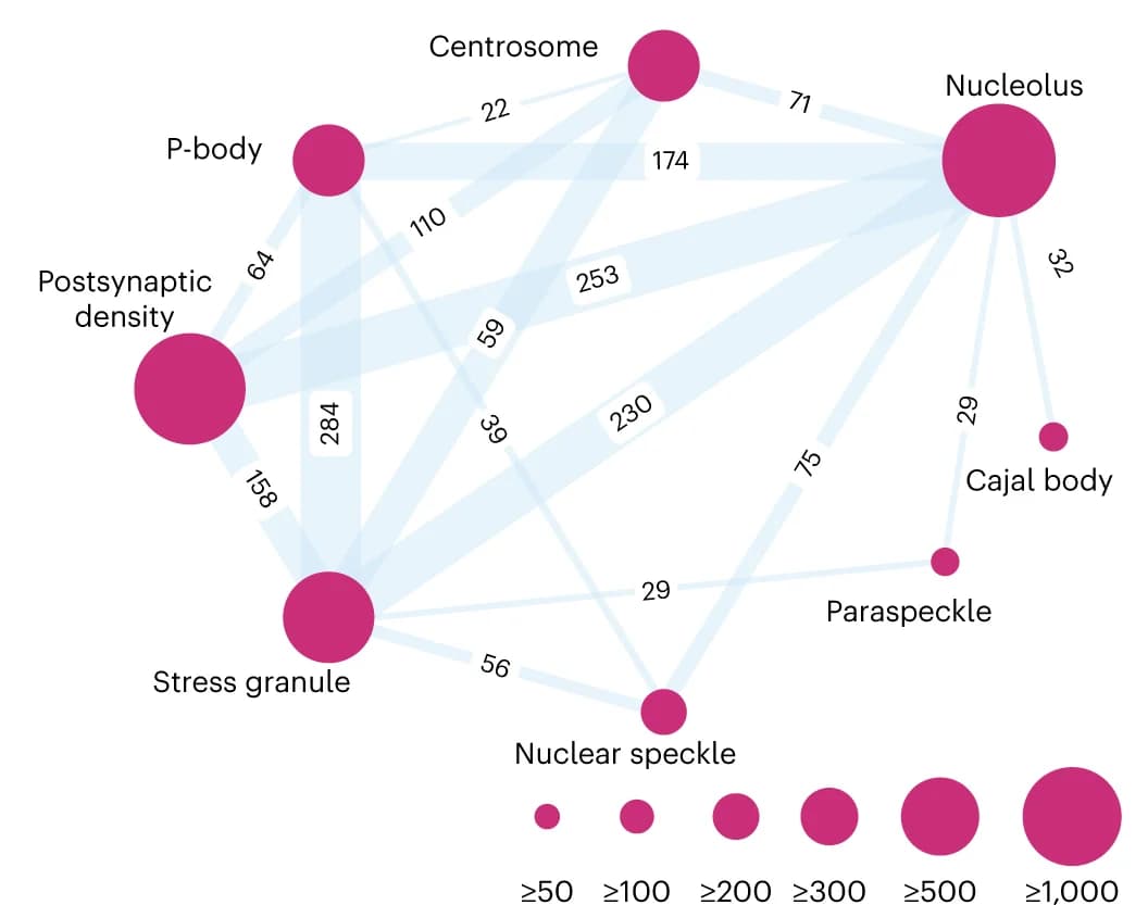 Open access visualization of Network, Pathway, Chord, Proteins, Biomolecular Condensates