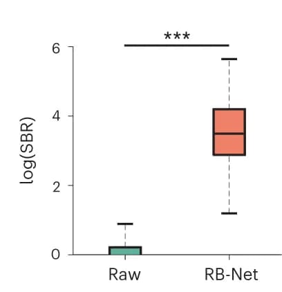 Open access visualization of Box Plot, SBR Ratio, Raw Movie, DeepWonder, Wilcoxon Signed-Rank Test